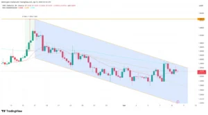 Ballenas compran 130 millones de XRP